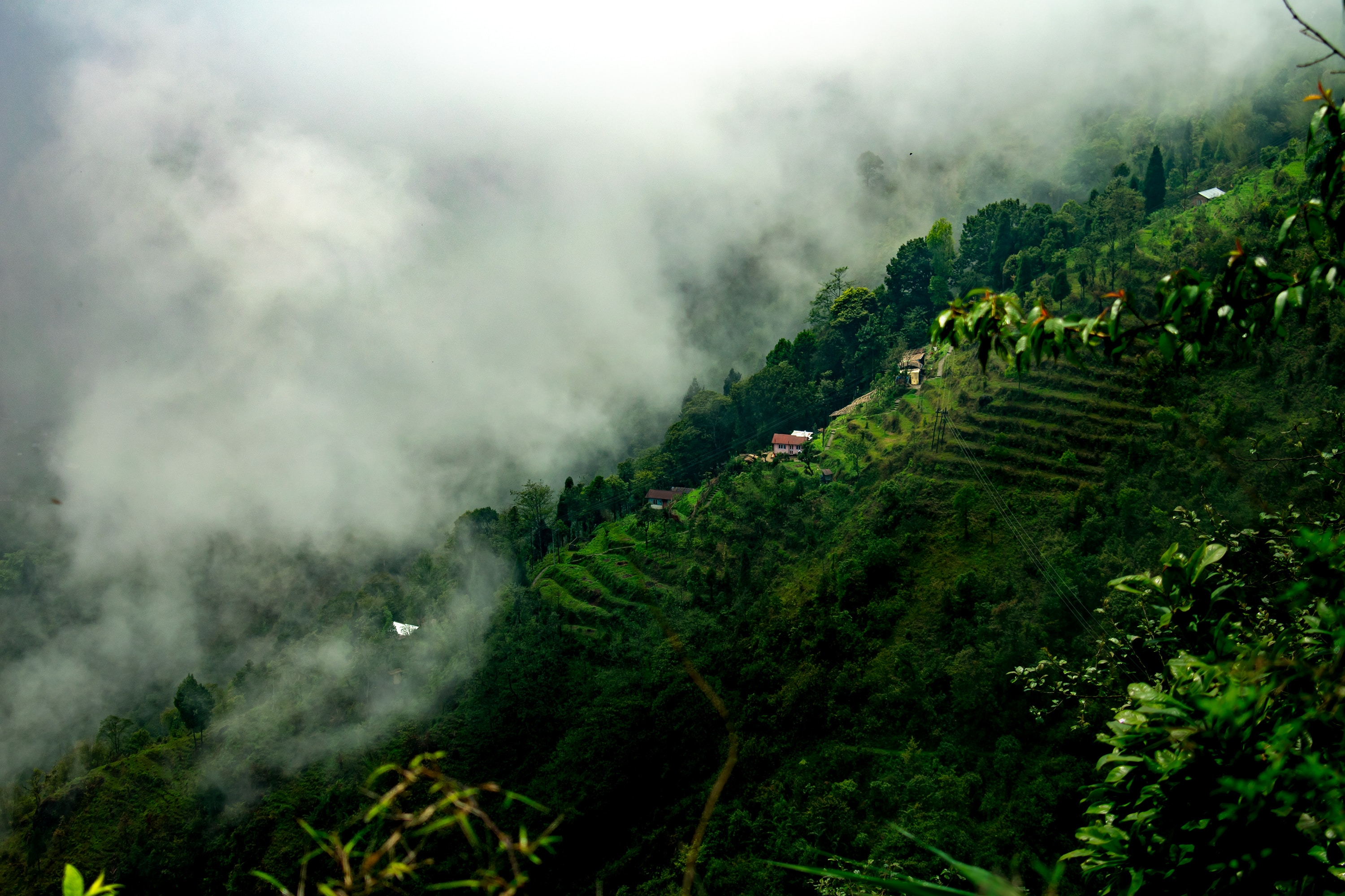 Darjeeling Town