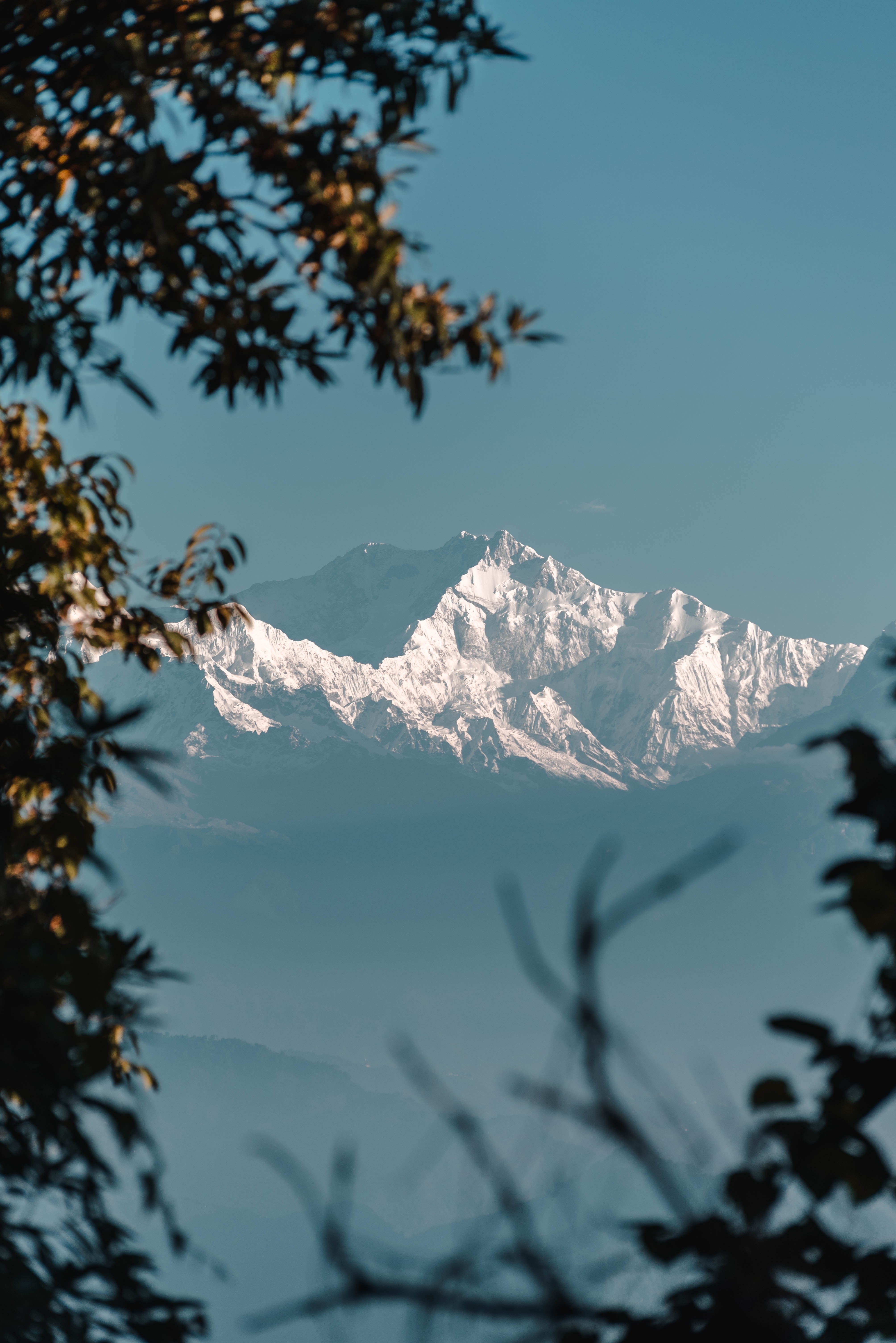 Kanchenjunga View